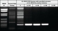 GC-RICH PCR System 12140306001