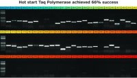 KAPA2G Robust HotStart PCR Kit 