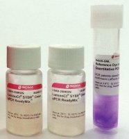 LuminoCt SYBR Green qPCR ReadyMix 