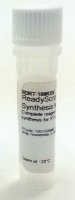 ReadyScript cDNA Synthesis Mix 