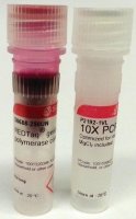 REDTaq Genomic DNA Polymerase 