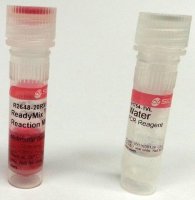 REDTaq ReadyMix PCR Reaction Mix 