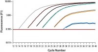 SYBR Green Quantitative RT-qPCR Kit QR0100-1KT