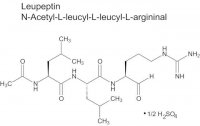 Leupeptin 