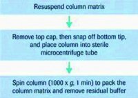 mini Quick Spin DNA Columns 11814419001