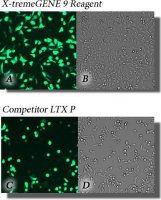 X-tremeGENE 9 DNA Transfection Reagent 