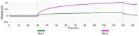 Anti-Bacteriophage MS2 Antibody, clone 1B21 ZooMAb Rabbit Monoclonal 