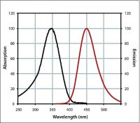 Anti-Guinea Pig IgG (H+L), CF 350 antibody produced in goat 