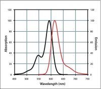 Anti-Guinea Pig IgG (H+L), CF 594 antibody produced in goat 
