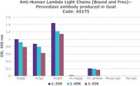 Anti-Human Lambda Light Chains (Bound and Free)Peroxidase antibody produced in goat A5175-1ML