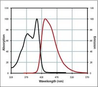 Anti-Mouse IgG (H+L), CF 405S antibody produced in goat 