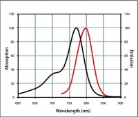 Anti-Rabbit IgG (H+L), highly cross-adsorbed, CF 770 antibody produced in goat 