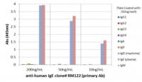 Rabbit Anti-Human IgE Antibody, clone RM122 4-1649