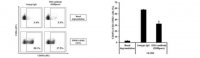 Anti-NKG2D (CD314) Antibody, clone 1D11 