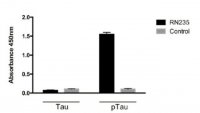 Anti-phospho-Tau (Ser235) Antibody, clone RN235 