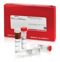 Duolink In Situ Detection Reagents FarRed 