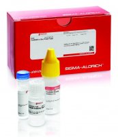 Duolink In Situ PLA Probe Anti-Rabbit PLUS 