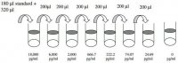 Human ADIPOQ / Adiponectin ELISA Kit RAB0005-1KT