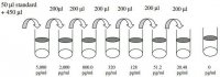 Human ALCAM ELISA Kit RAB0013-1KT