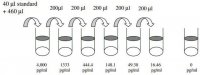 Human Amphiregulin ELISA Kit RAB0019-1KT