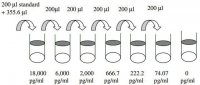 Human Angiopoietin-1 ELISA Kit RAB0015-1KT