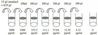Human Angiopoietin-2 ELISA Kit RAB0016-1KT