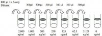 Human Angiostatin ELISA Kit RAB0407-1KT