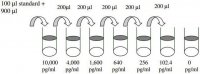 Human bFGF ELISA Kit RAB0183-1KT
