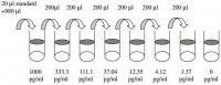 Human BLC / BCA-1 / CXCL13 ELISA Kit RAB0126-1KT
