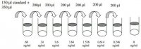 Human BMP-5 ELISA Kit RAB0031-1KT