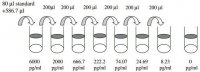 Human BMP-7 ELISA Kit RAB0033-1KT