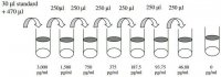 Human BMP2 ELISA Kit RAB0028-1KT