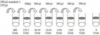 Human Carbohydrate Antigen 125 / Mucin-16 ELISA Kit RAB0376-1KT