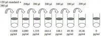 Human Cardiotrophin-1 ELISA Kit RAB0107-1KT