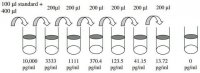 Human Dkk-4 ELISA Kit RAB0146-1KT