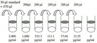 Human Endoglin ELISA Kit RAB0171-1KT