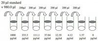 Human Eotaxin-2 / CCL24 ELISA Kit RAB0066-1KT
