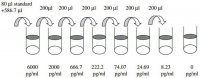 Human FGF-6 ELISA Kit RAB0187-1KT