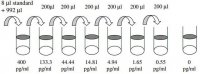Human FGF-7 ELISA Kit RAB0188-1KT