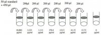 Human Furin ELISA Kit RAB0198-1KT
