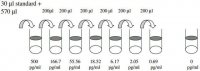 Human G-CSF / CSF3 ELISA Kit RAB0103-1KT