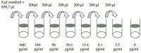 Human GH ELISA Kit RAB0206-1KT