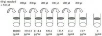 Human GITR / TNFRSF18 ELISA Kit RAB0486-1KT