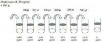 Human HB-EGF ELISA Kit RAB0211-1KT