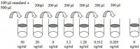 Human Heat Shock Protein 27 ELISA Kit RAB0217-1KT