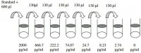 Human HGF ELISA Kit RAB0212-1KT