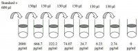 Human HGF ELISA Kit RAB0213-1KT