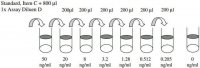 Human HTRA2 ELISA Kit RAB0218-1KT
