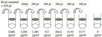 Human HVEM ELISA Kit RAB0485-1KT