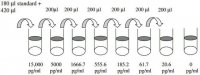 Human IFN ELISA Kit RAB0222-1KT